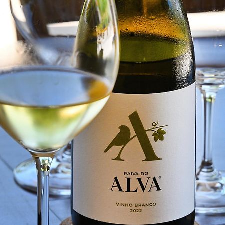 Quinta Da Aldeia Nova Villa Arganil Buitenkant foto