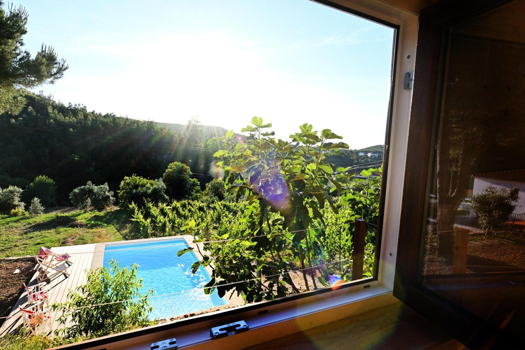 Quinta Da Aldeia Nova Villa Arganil Buitenkant foto