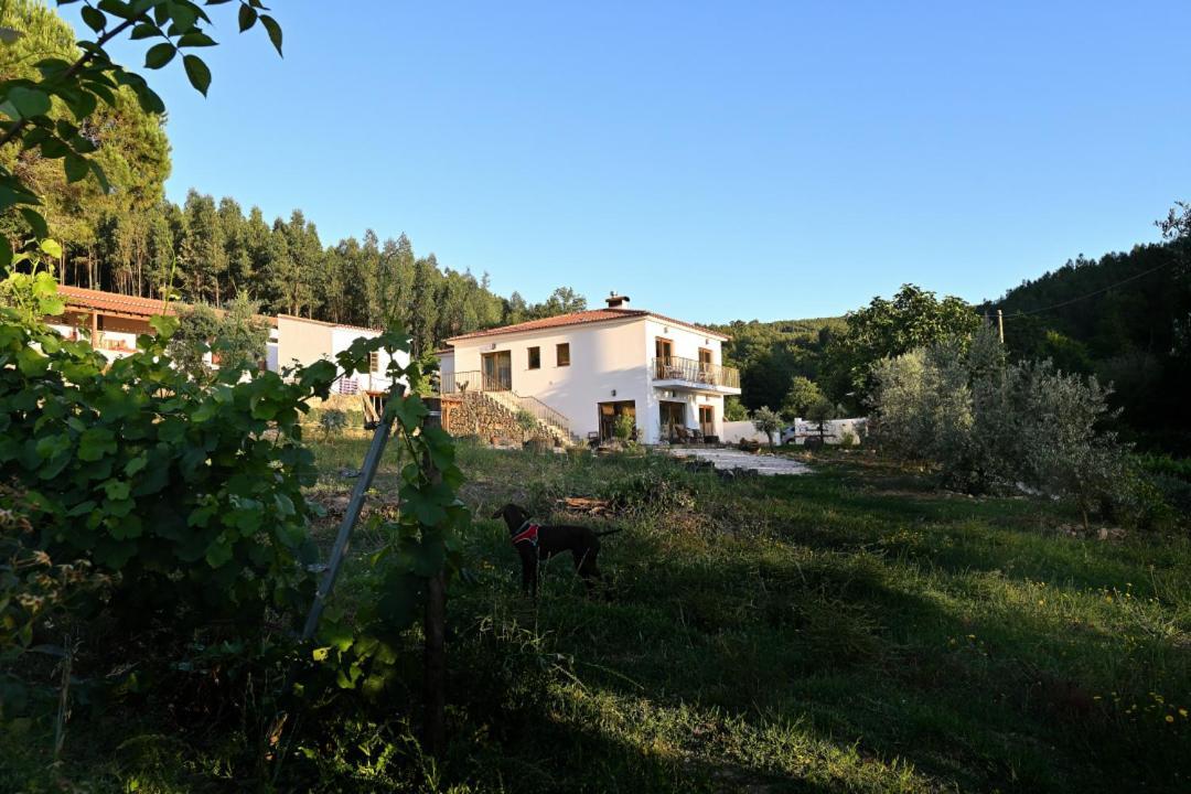 Quinta Da Aldeia Nova Villa Arganil Buitenkant foto