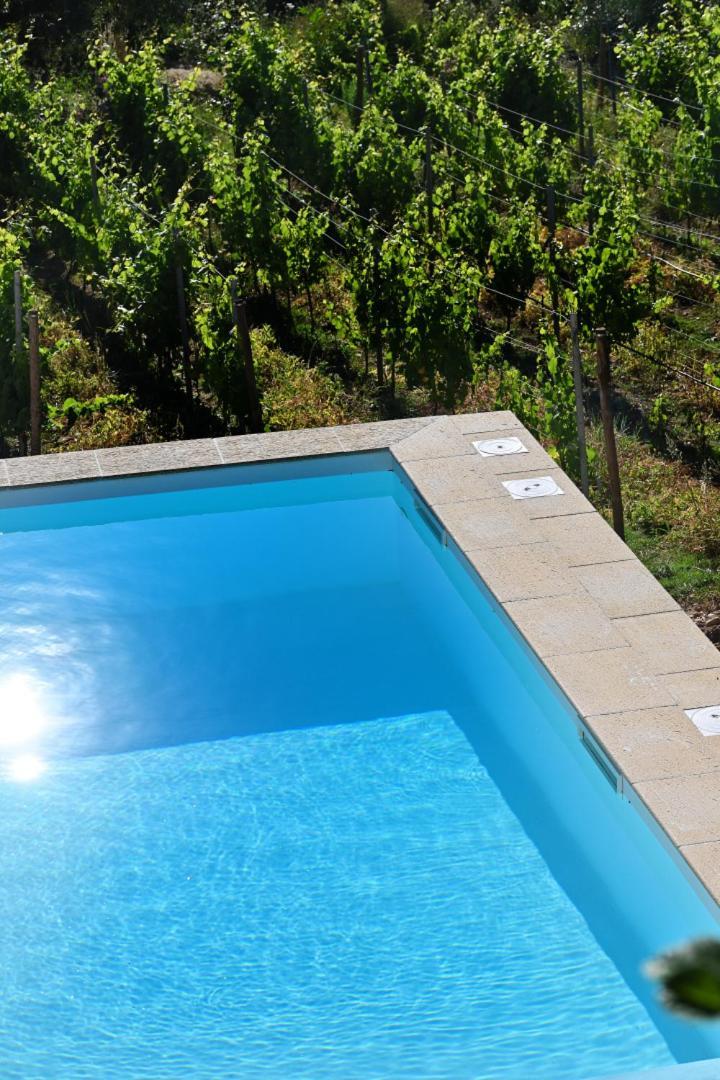 Quinta Da Aldeia Nova Villa Arganil Buitenkant foto